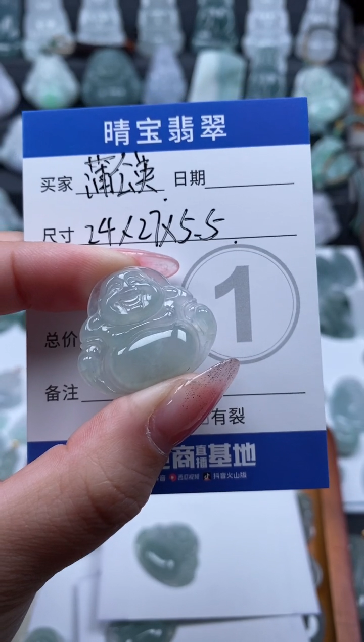 【闪购商品】翡翠颈饰未镶嵌天然翡翠