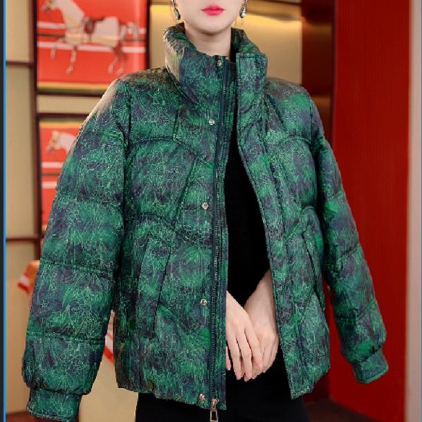 2025杭州原版正品保暖气质减龄修身羽绒服CE-10002-YXYC