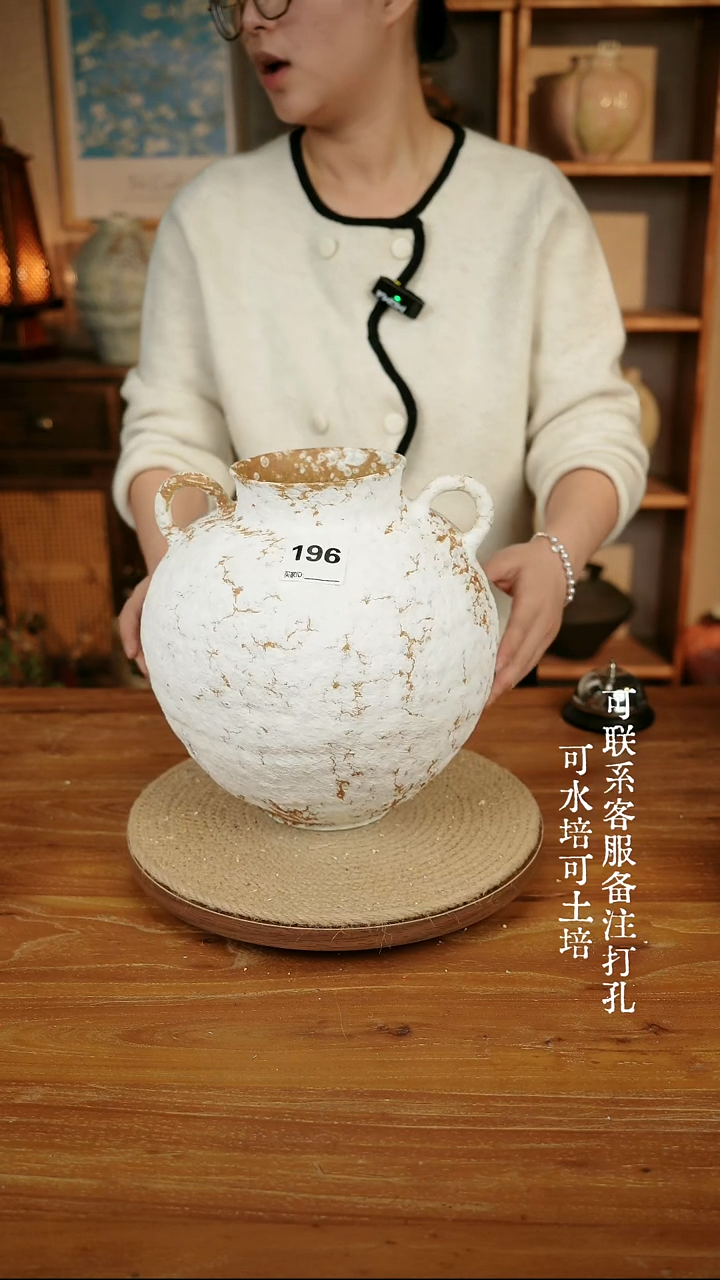 摆件196白色双耳大肚瓶可水培可土培