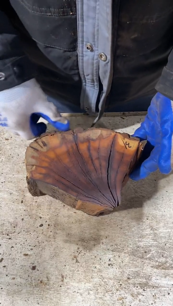 枣木【31】号原木段，尺寸随型