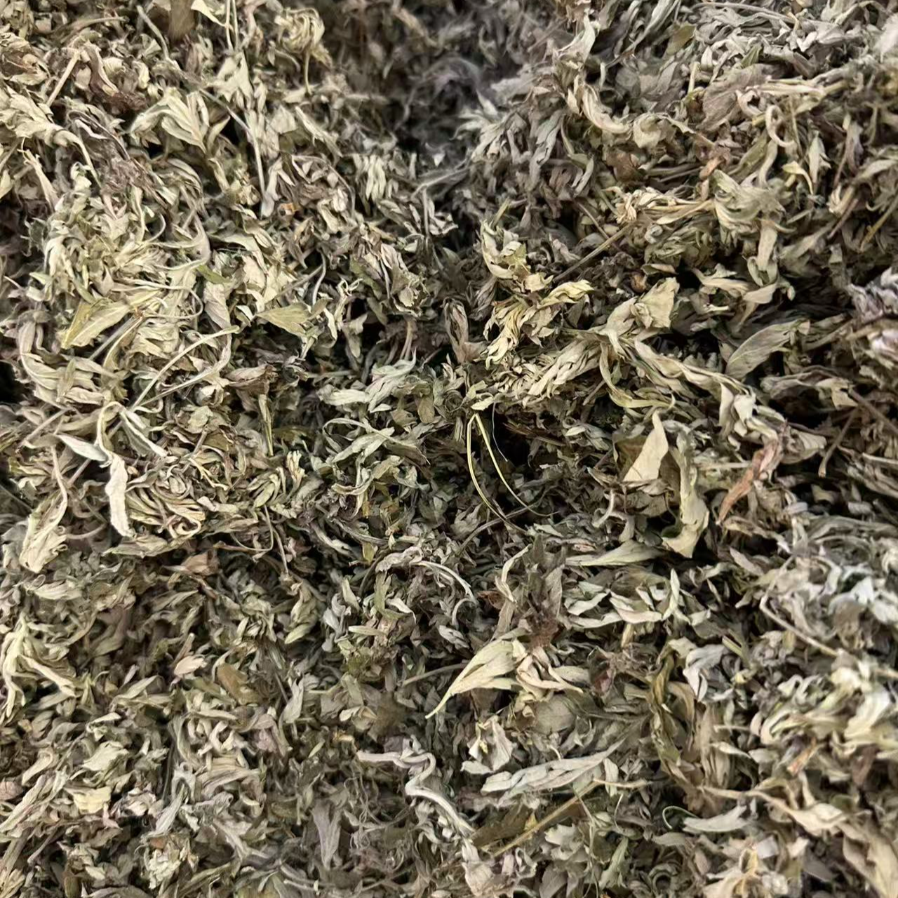 端午艾叶 家用泡脚洗澡产后护理 无杆散装艾草叶