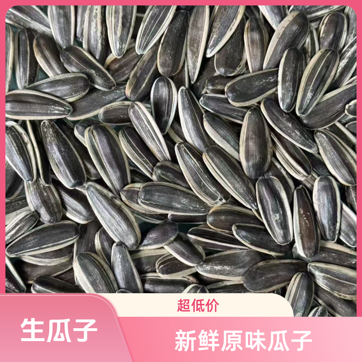 【买一斤送一斤】生瓜子干货葵瓜子年货葵花籽休闲零食坚果