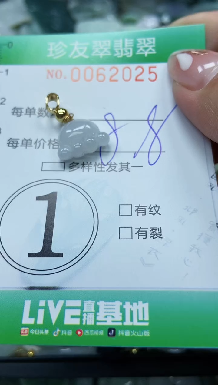 【闪购商品】翡翠颈饰未镶嵌闪购0062025