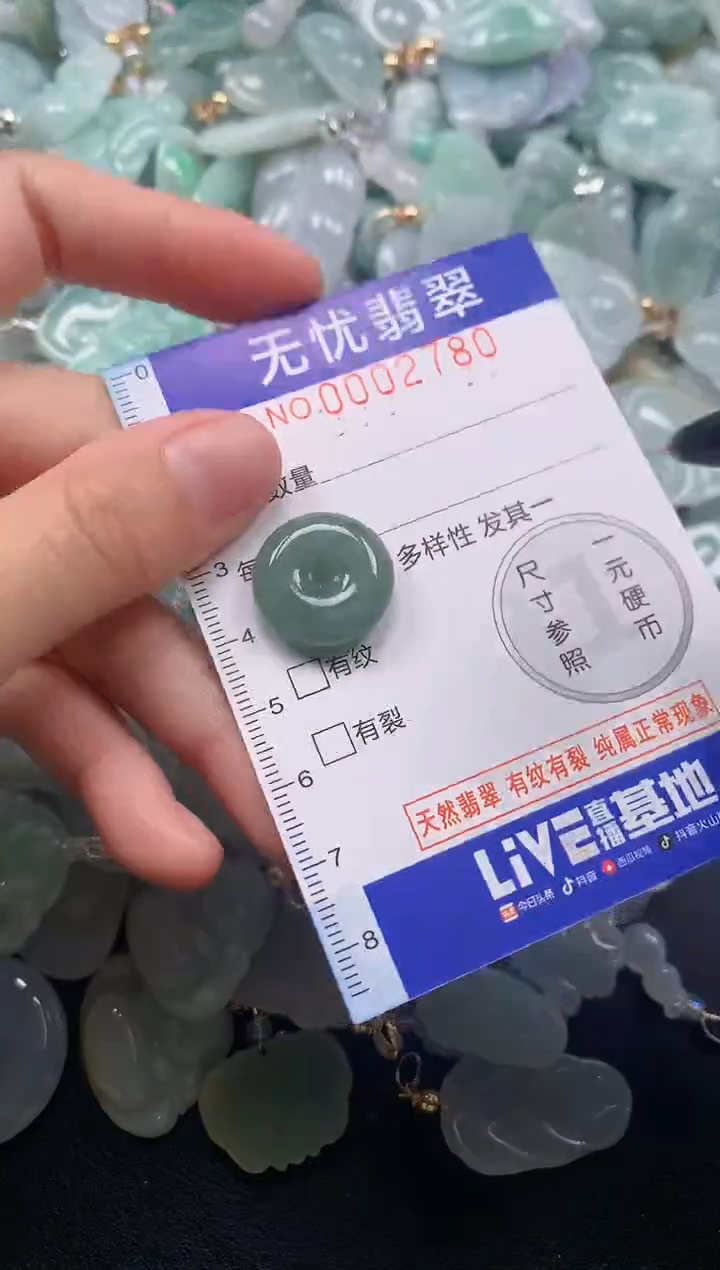 颈饰未镶嵌翡翠2780