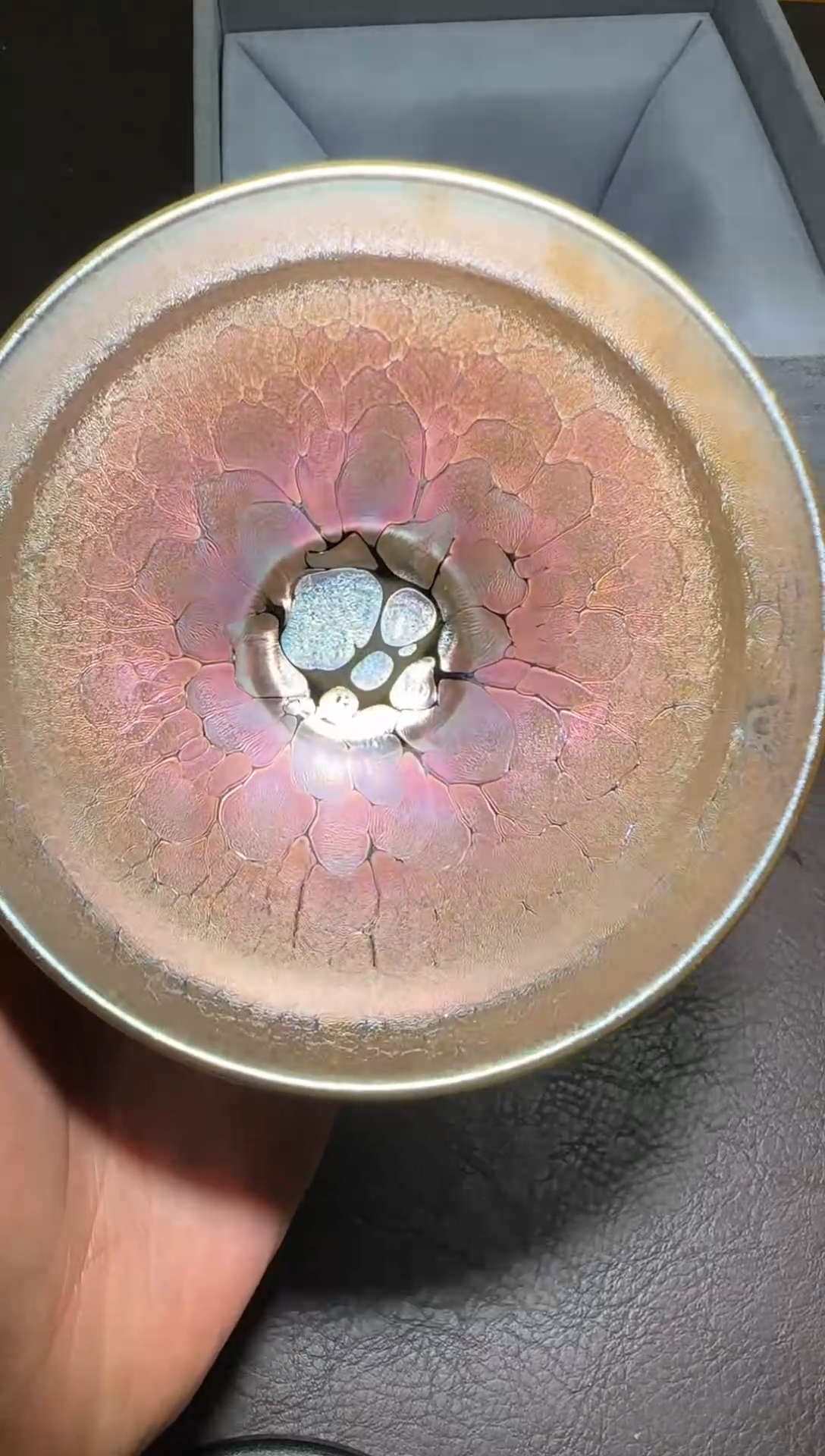 茶盏357号李永辉龙葵