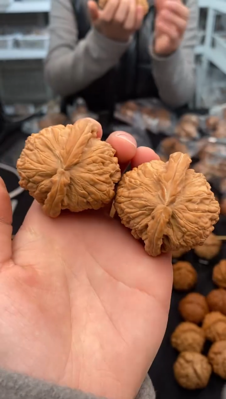 【闪购商品】文玩核桃把件白狮子43-u200