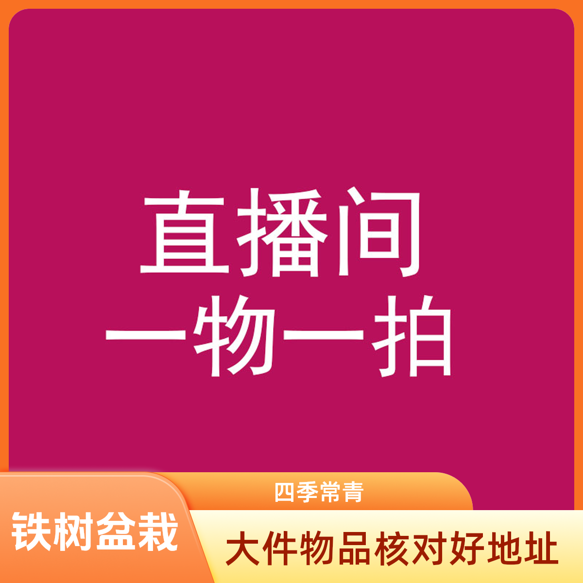 铁树盆栽植物小树苗苏铁四季常青室内外客厅盆景龙铁好养花卉绿植
