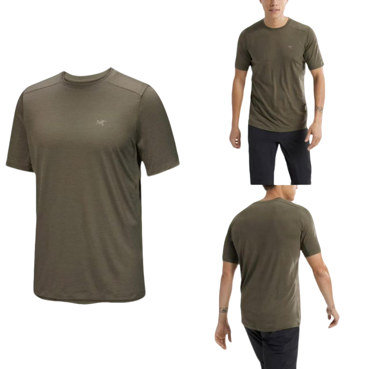 ARC'TERYX/始祖鸟lonia Merino Wool  军鸟绿羊毛印花圆领短袖