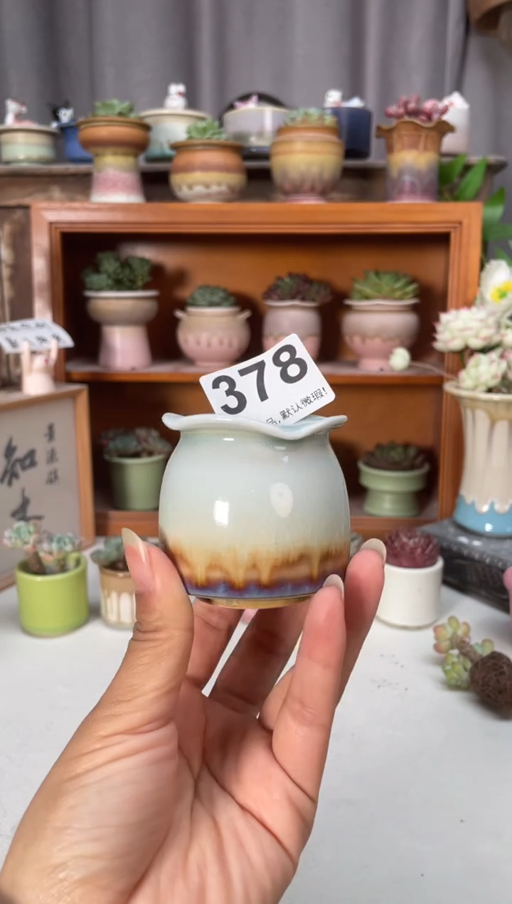 瓷片378小芳直播编号