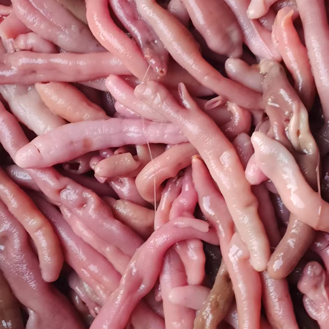 莱州发货 海肠皮 去内脏 顺丰 1斤送1斤 带海水保鲜发货