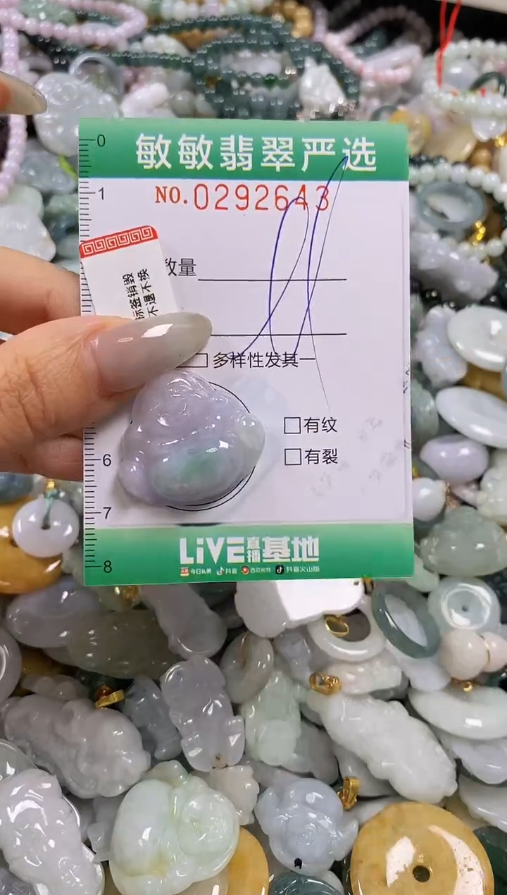 翡翠未镶嵌颈饰闪购0292643