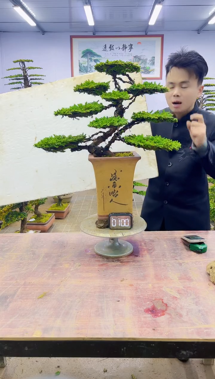 【闪购商品】一物一拍，所见即所得