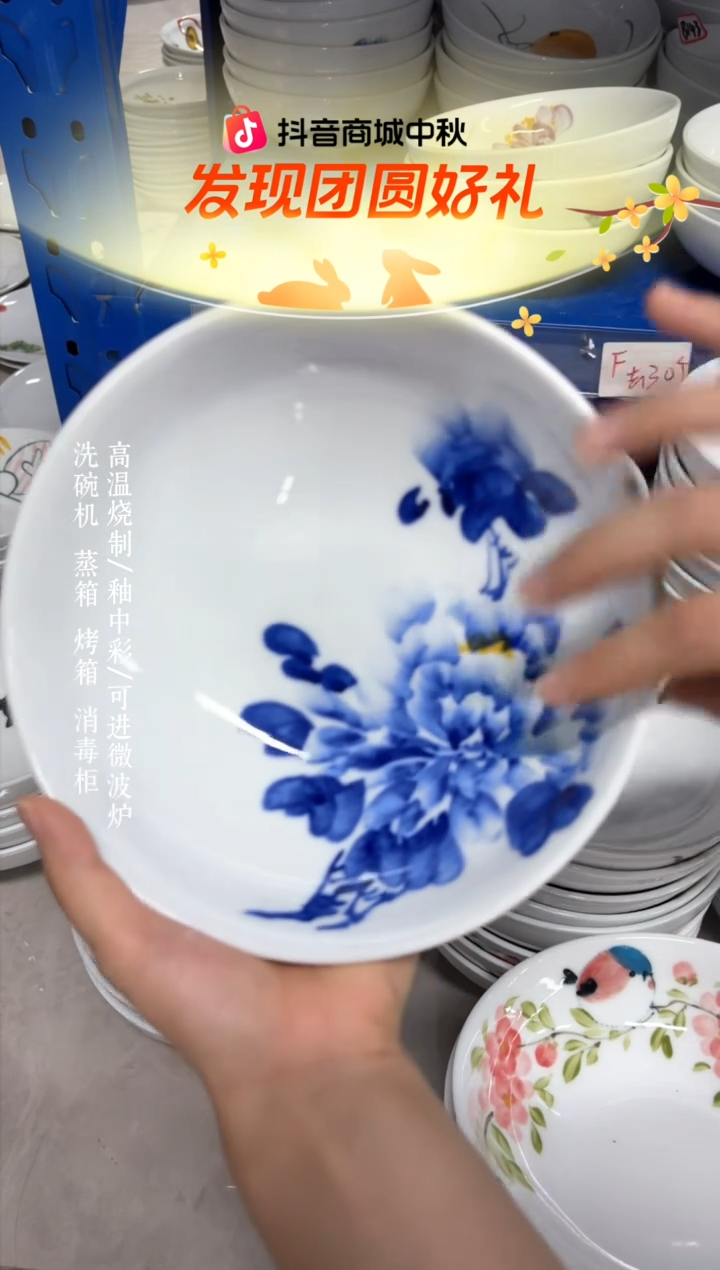 瓷片景德镇手绘釉中彩（食品级）大胖碗