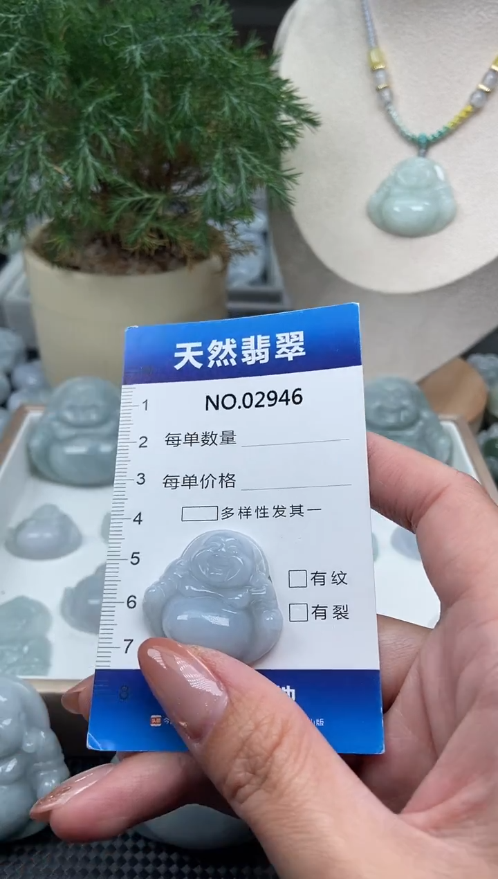 颈饰未镶嵌翡翠纯天然A货翡翠2946