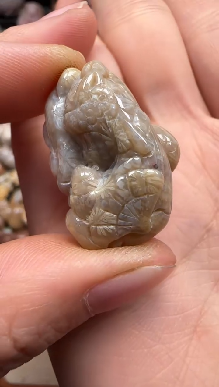 【闪购商品】硅化珊瑚（珊瑚玉）颈饰未镶嵌494