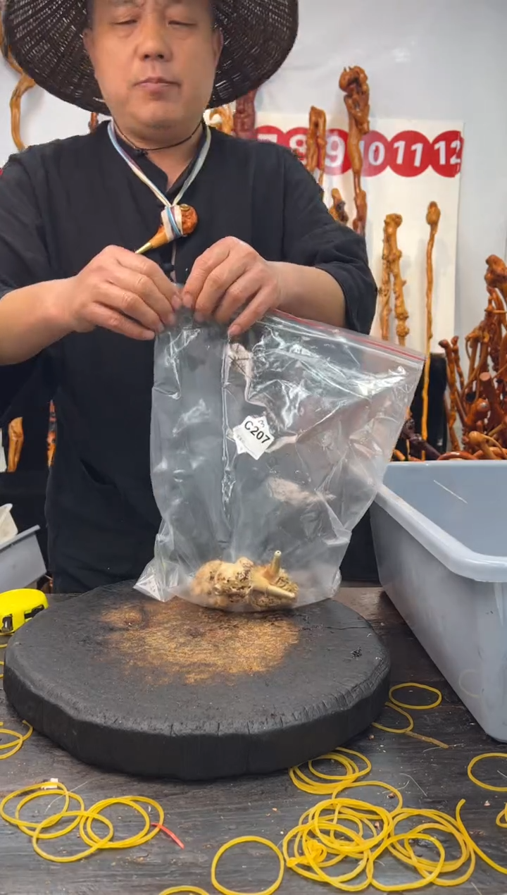 黑果木其他黑果木253