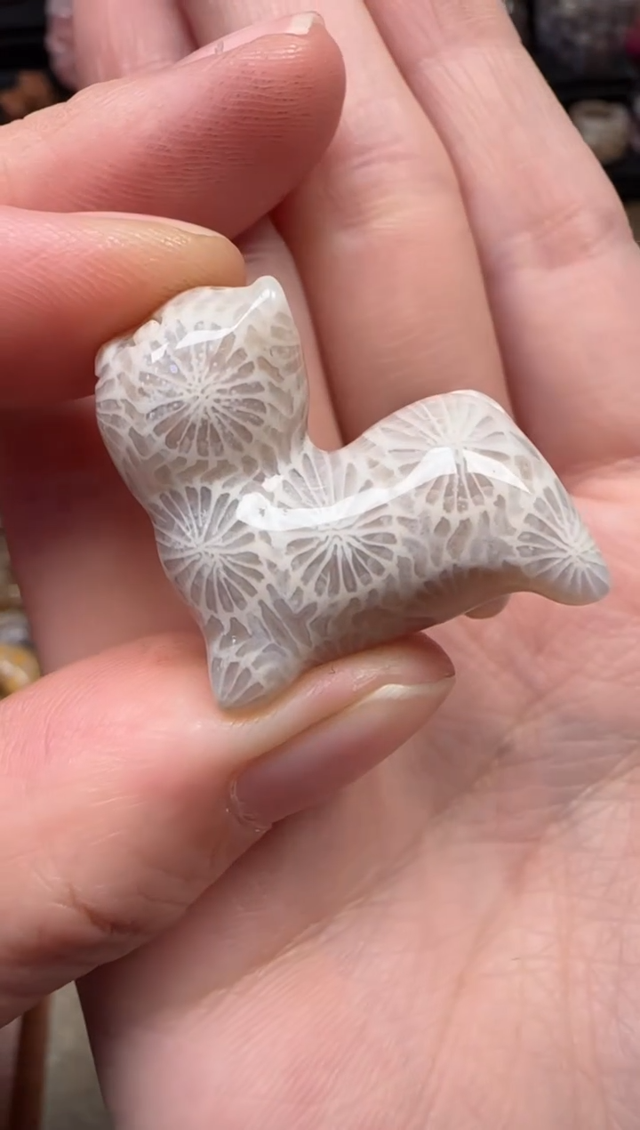 颈饰未镶嵌硅化珊瑚（珊瑚玉）386