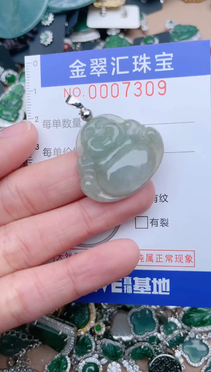 【闪购商品】翡翠颈饰未镶嵌7309.....1