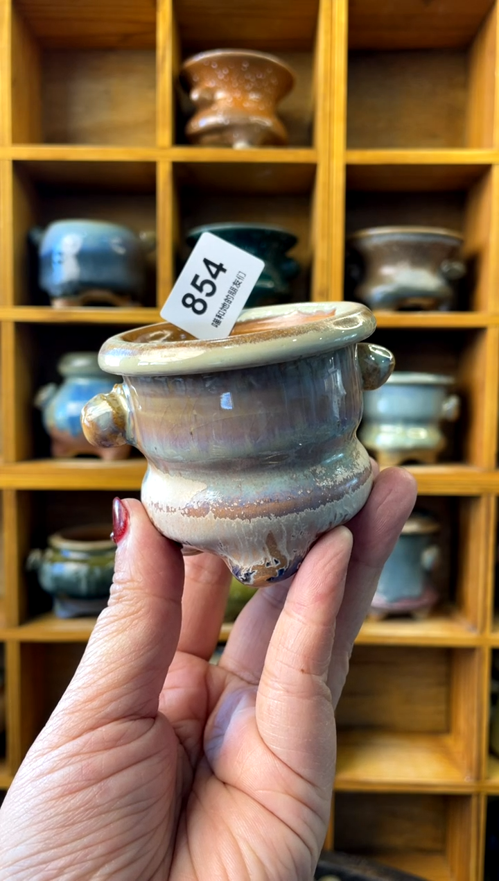 【闪购商品】陶854 内口5.5【喵喵团圆多肉盆】