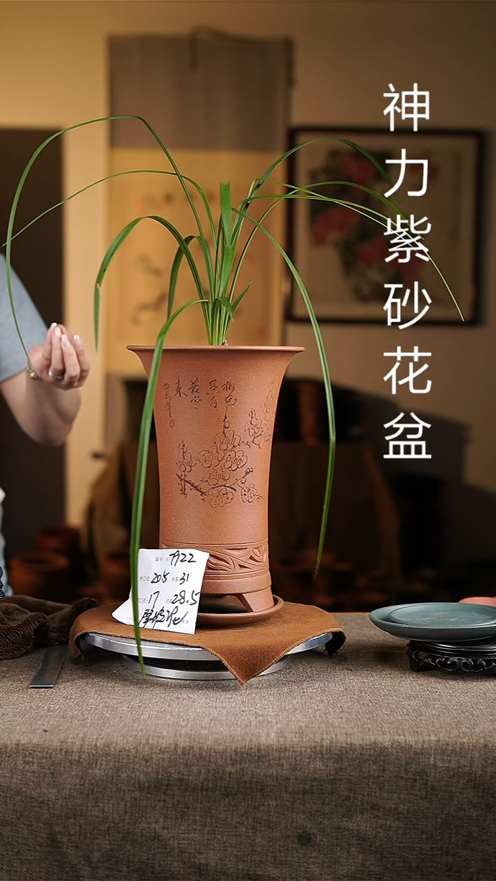 紫砂花盆紫砂花盆7922+z