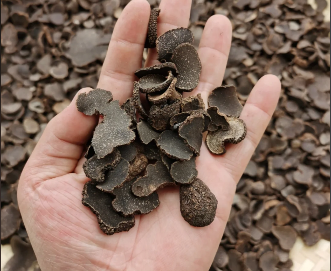 【平姐滋补】黑松露菌