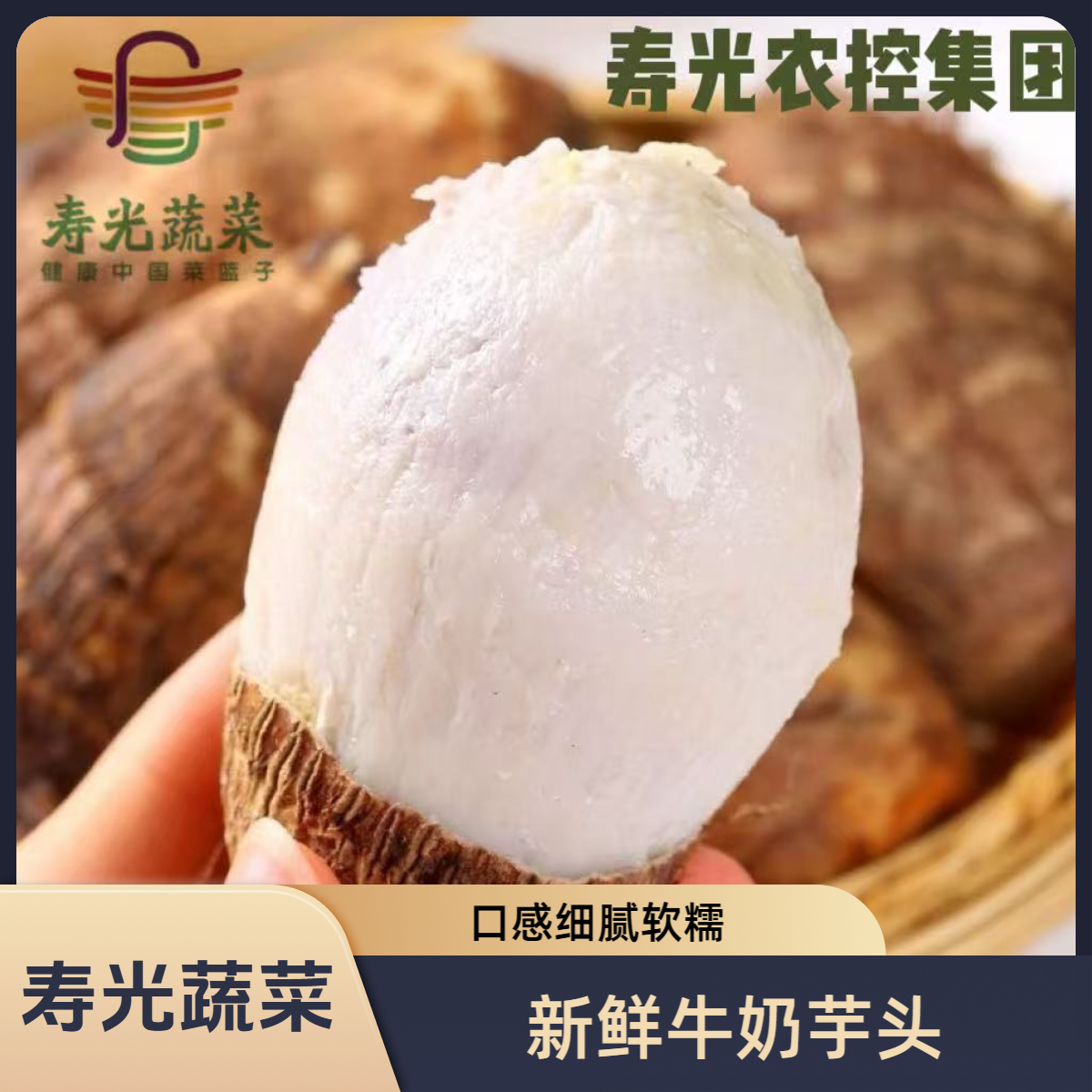 D【寿光蔬菜】新鲜正宗牛奶芋头口感细腻绵密软糯香甜牛奶小芋头