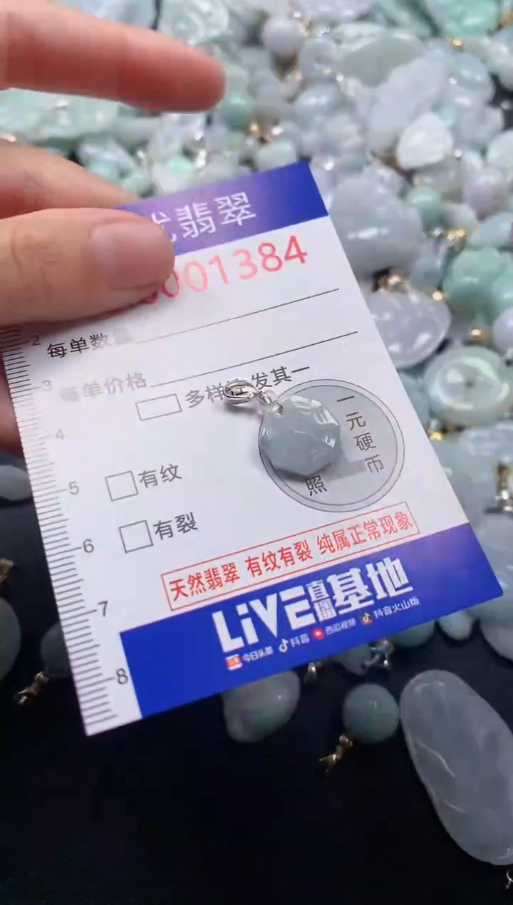 颈饰未镶嵌翡翠1384