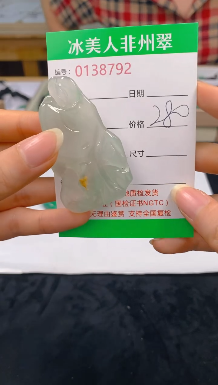 石英质玉未镶嵌颈饰792