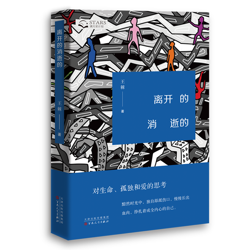 《离开的消逝的》 王棘 著 