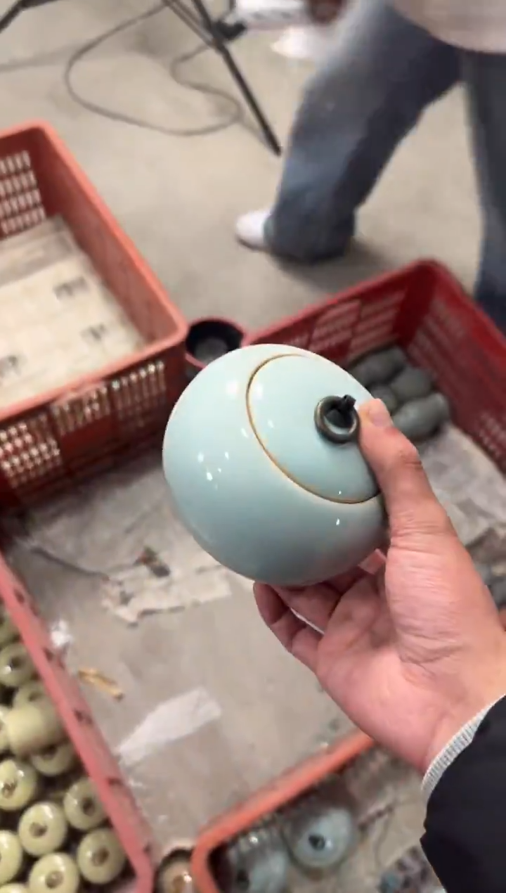 【266 】 八哥专拍