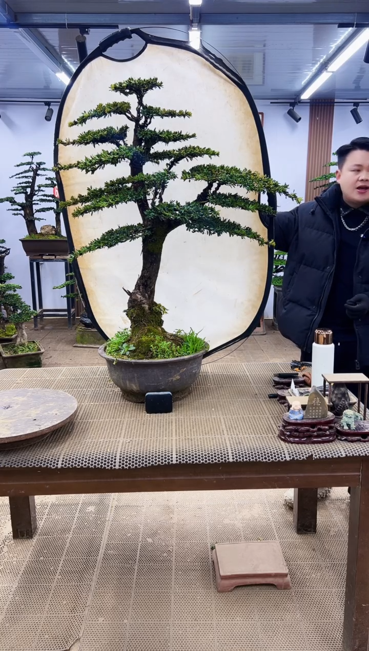 【闪购商品】00000000