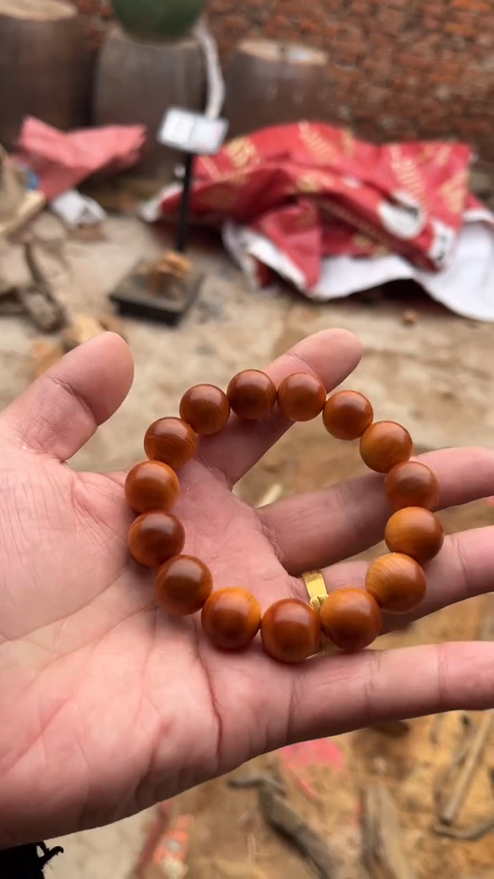 柏木（崖柏）南太行1.5单圈