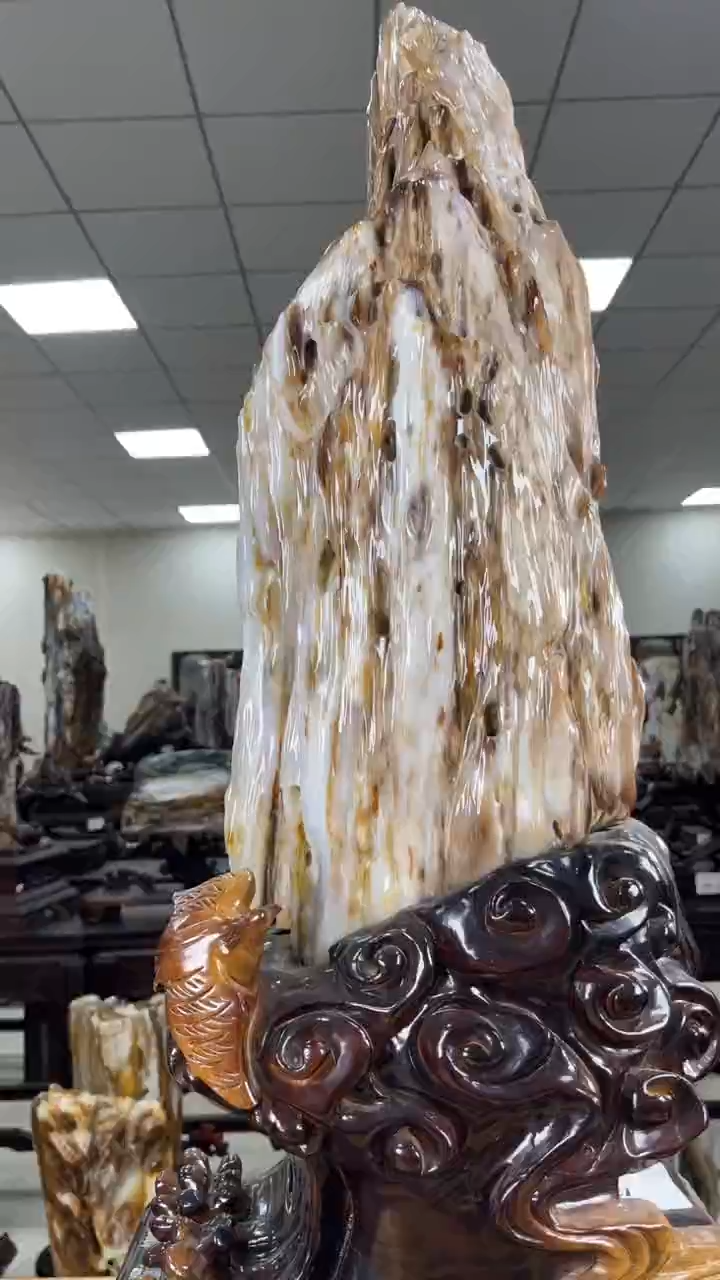 【闪购商品】硅化玉珠宝奇石未镶嵌1