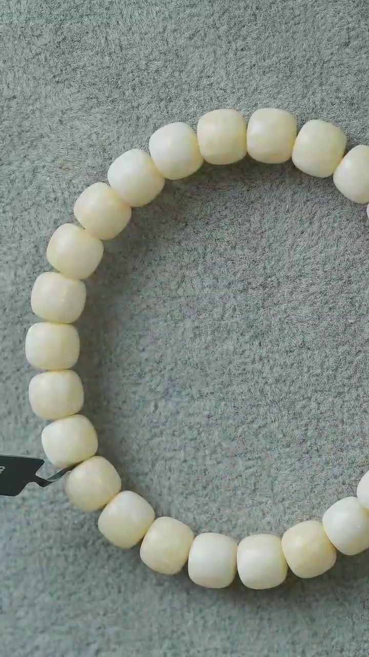 【闪购商品】橄榄核其他猛犸猛犸猛犸D19