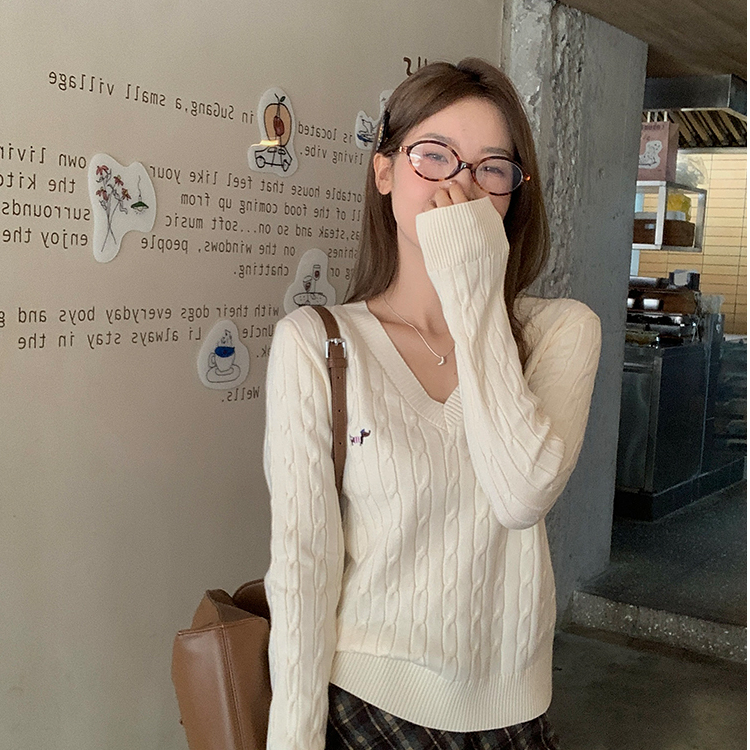 老钱风小狗刺绣v领毛衣女美式复古绞花外穿修身内搭显瘦针织衫秋