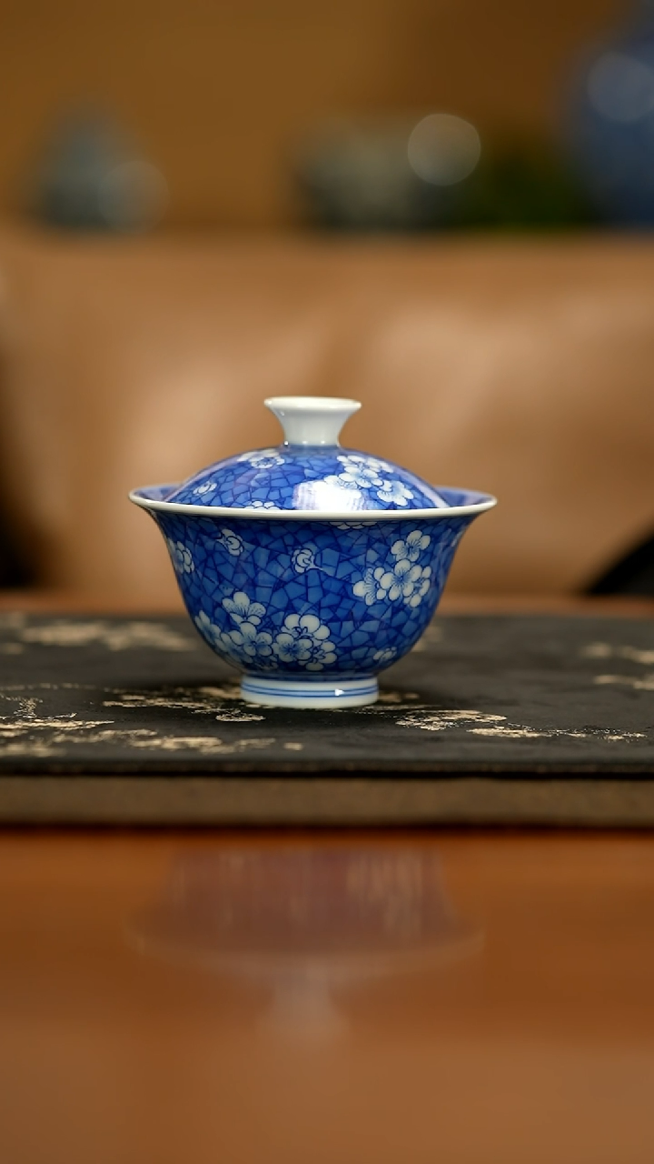 【闪购商品】瓷片春生              1