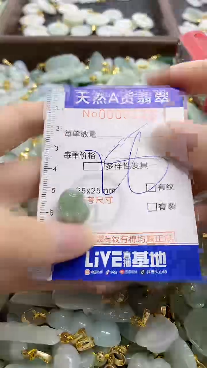 颈饰未镶嵌翡翠天然A货翡翠