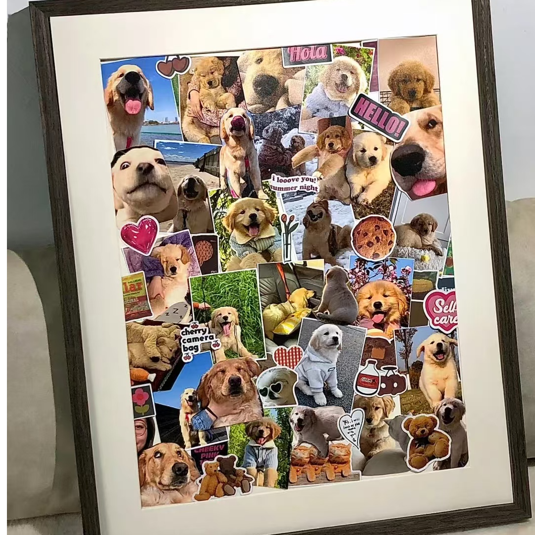 比熊博美宠物相册拍前联系客服