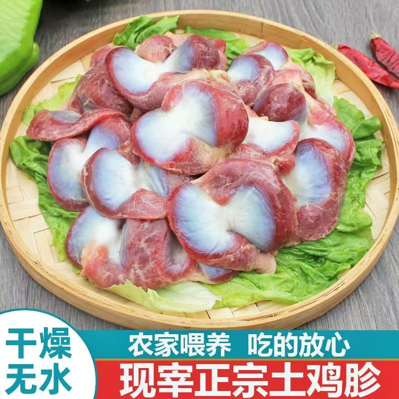 【侠姐6】5斤现杀鸡胗鸡肫带小肚鸡杂无冰火锅食材冷链包邮