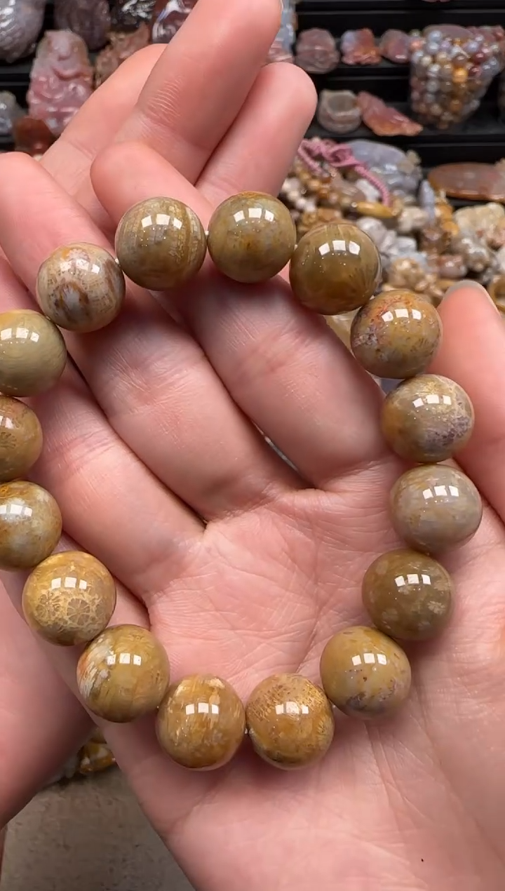 【闪购商品】硅化珊瑚（珊瑚玉）颈饰未镶嵌683