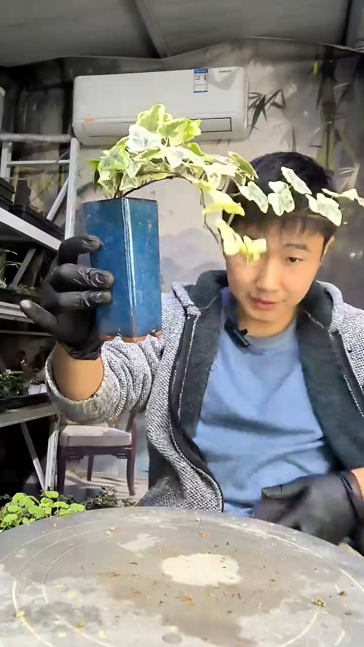 高*儿中青园艺一物一拍花215