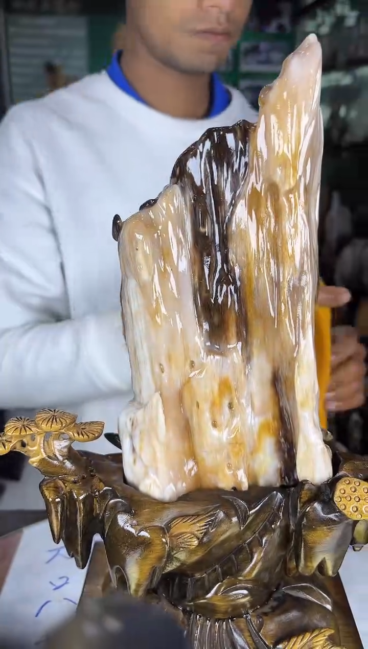 未镶嵌珠宝奇石硅化玉缅甸天然树化玉精品居家摆件