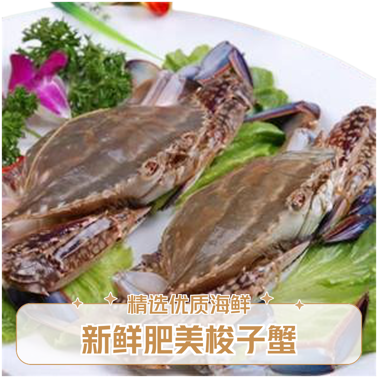 福利【保鲜不保活】舟山梭子蟹一筐5斤15-20只每只2-4两一小时送达