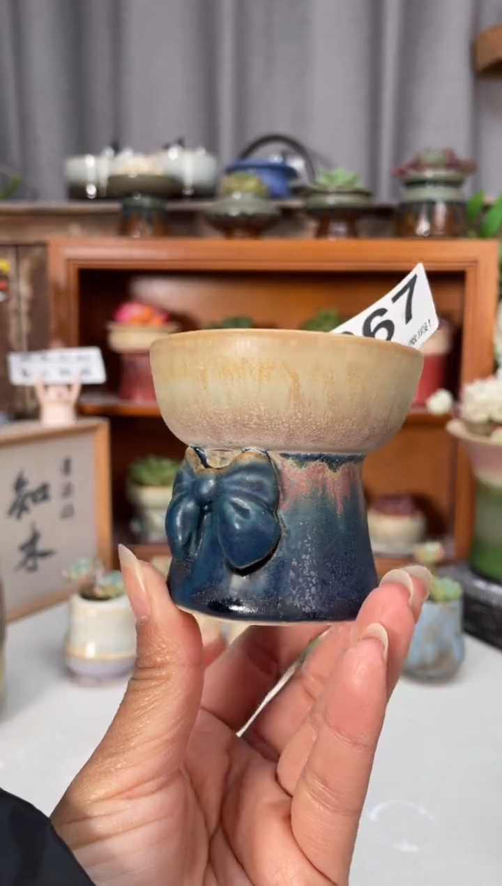 瓷片667小芳直播编号