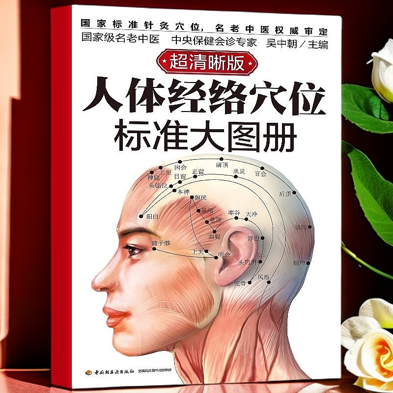 人体经络穴位图标准大图册 针灸图解中医按摩好找穴位养生书籍