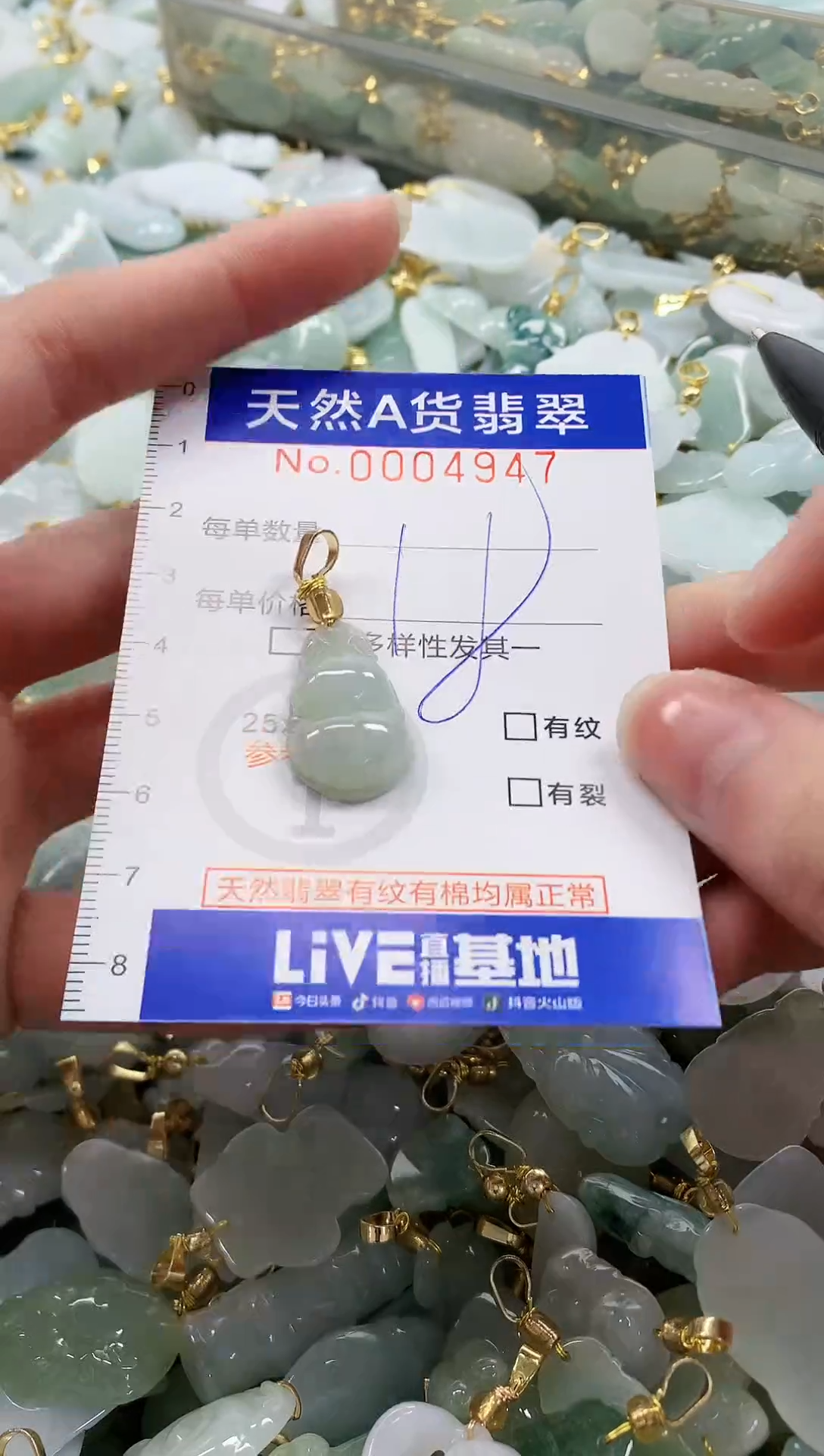 颈饰未镶嵌翡翠纯天然a货翡翠