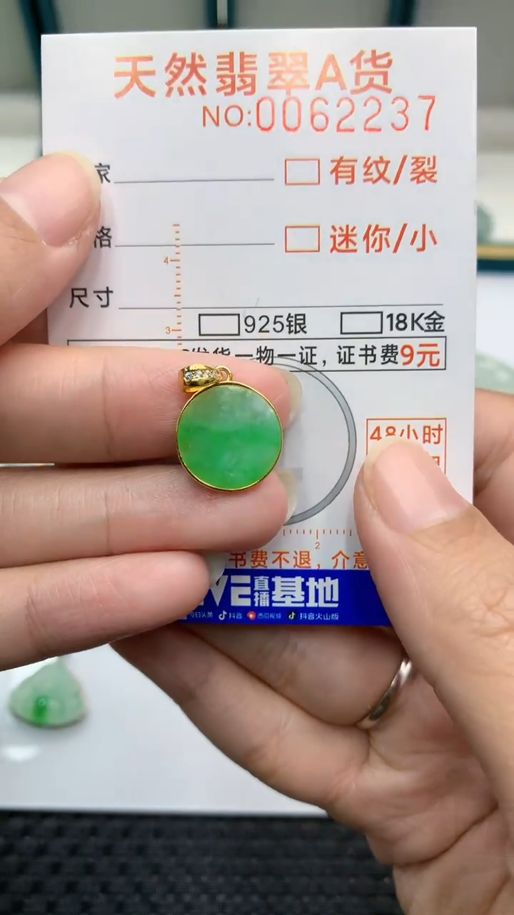 【闪购商品】翡翠颈饰银S925镶嵌            8