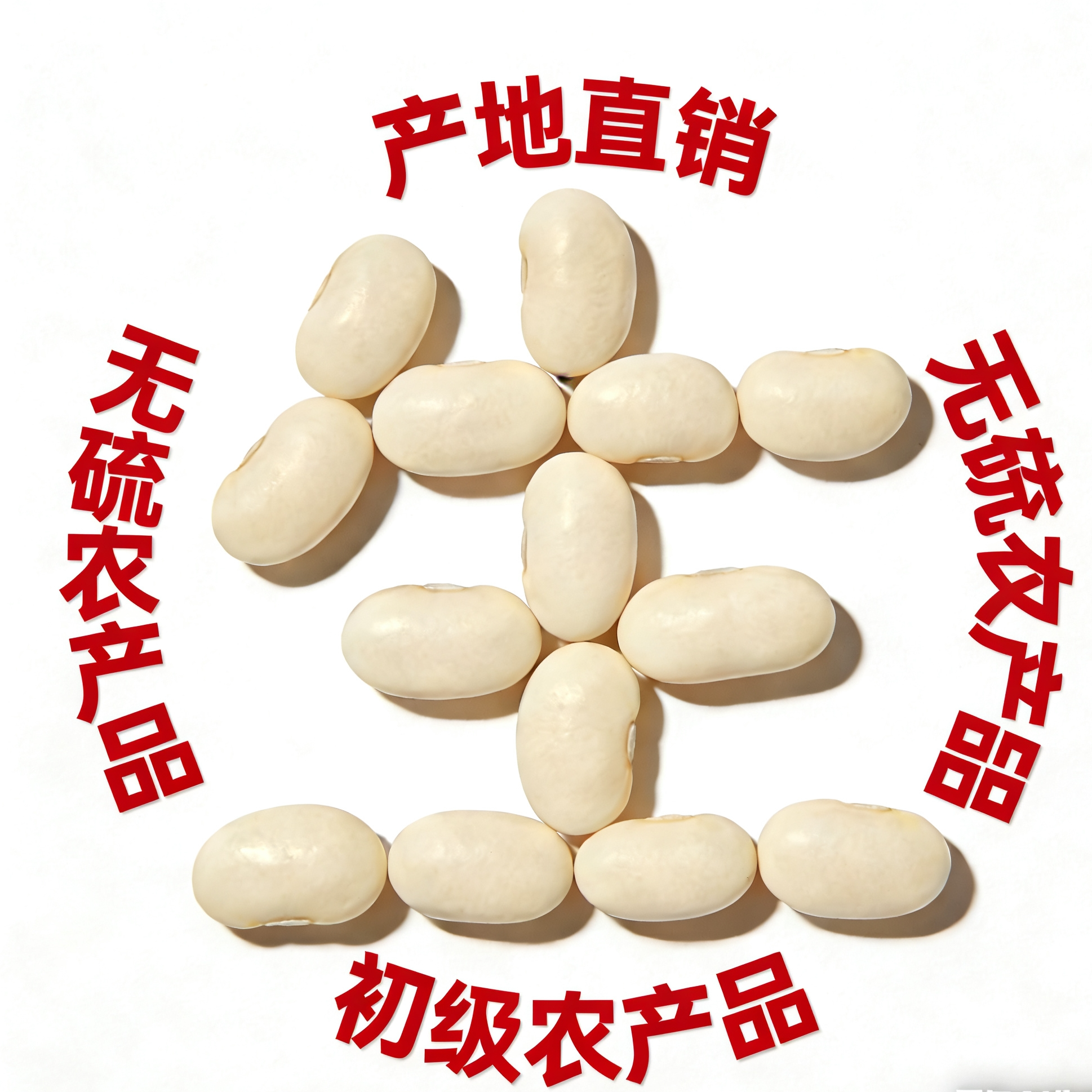 无硫 生白豆子 麻豆子  初级农产品 