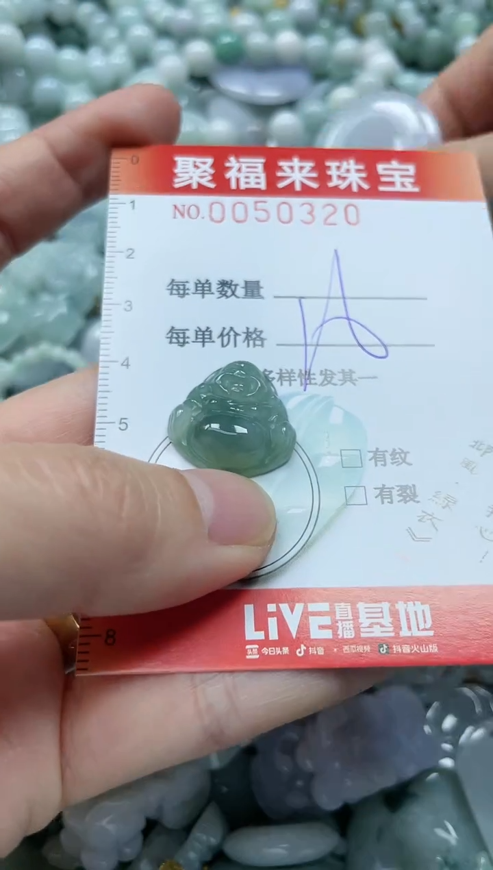 【闪购商品】翡翠颈饰未镶嵌闪购0050320