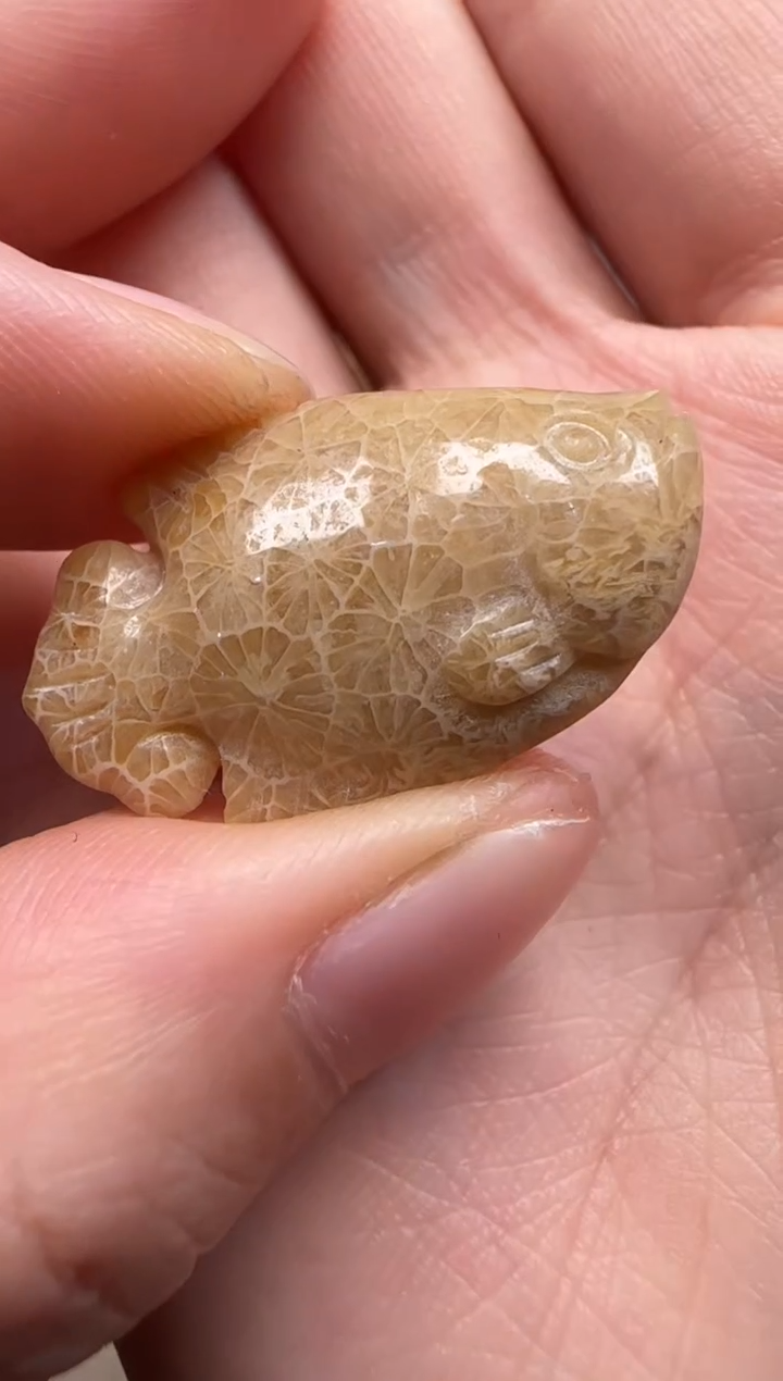 【闪购商品】硅化珊瑚（珊瑚玉）颈饰未镶嵌626